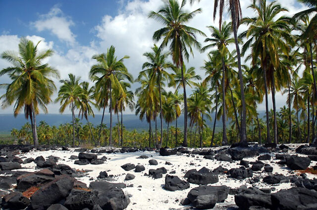 Černé lávové pláže, Maui