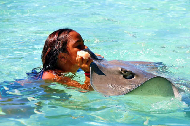 Moorea, hrátky s rejnoky, Návětrné ostrovy, Francouzská Polynésie