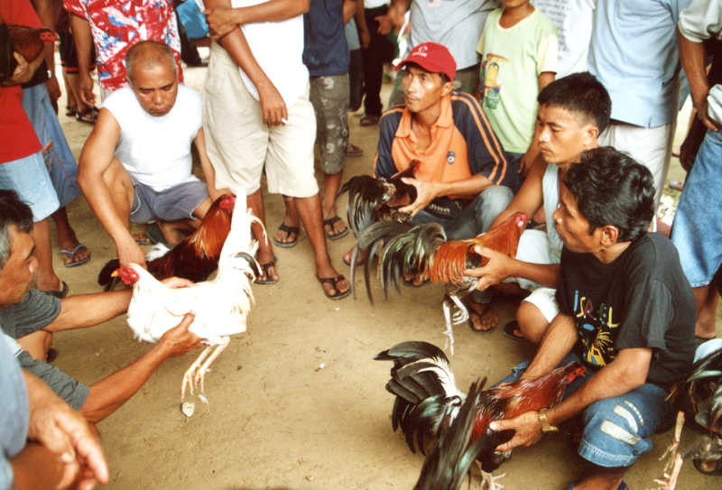 Mentální koučink před turnajem - kdo přežije