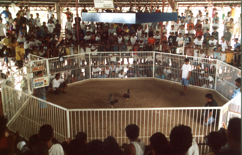 Oťukávání před soubojem v ringu